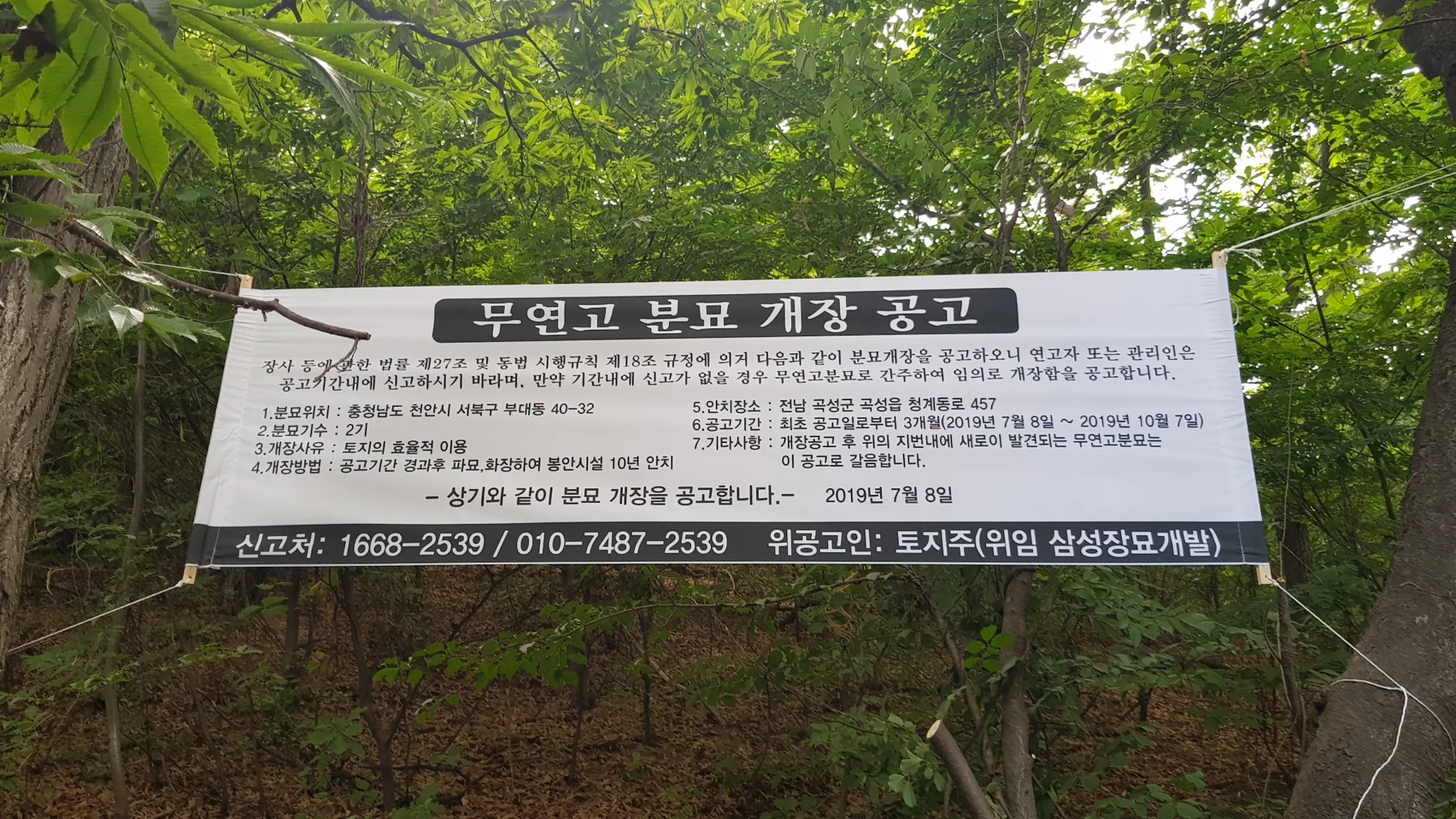 무연고묘 개장