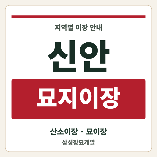 신안 묘지이장